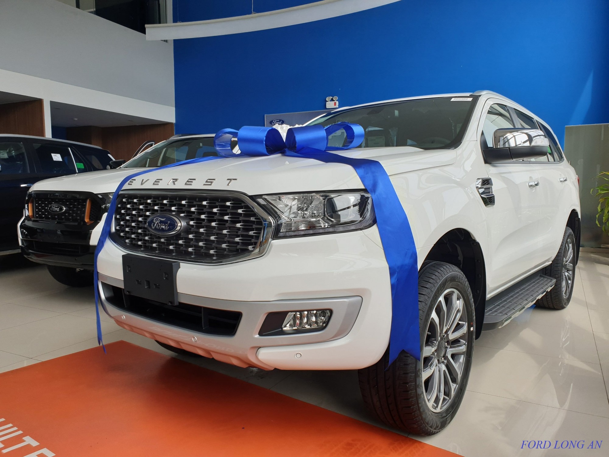 Ford Everest long an