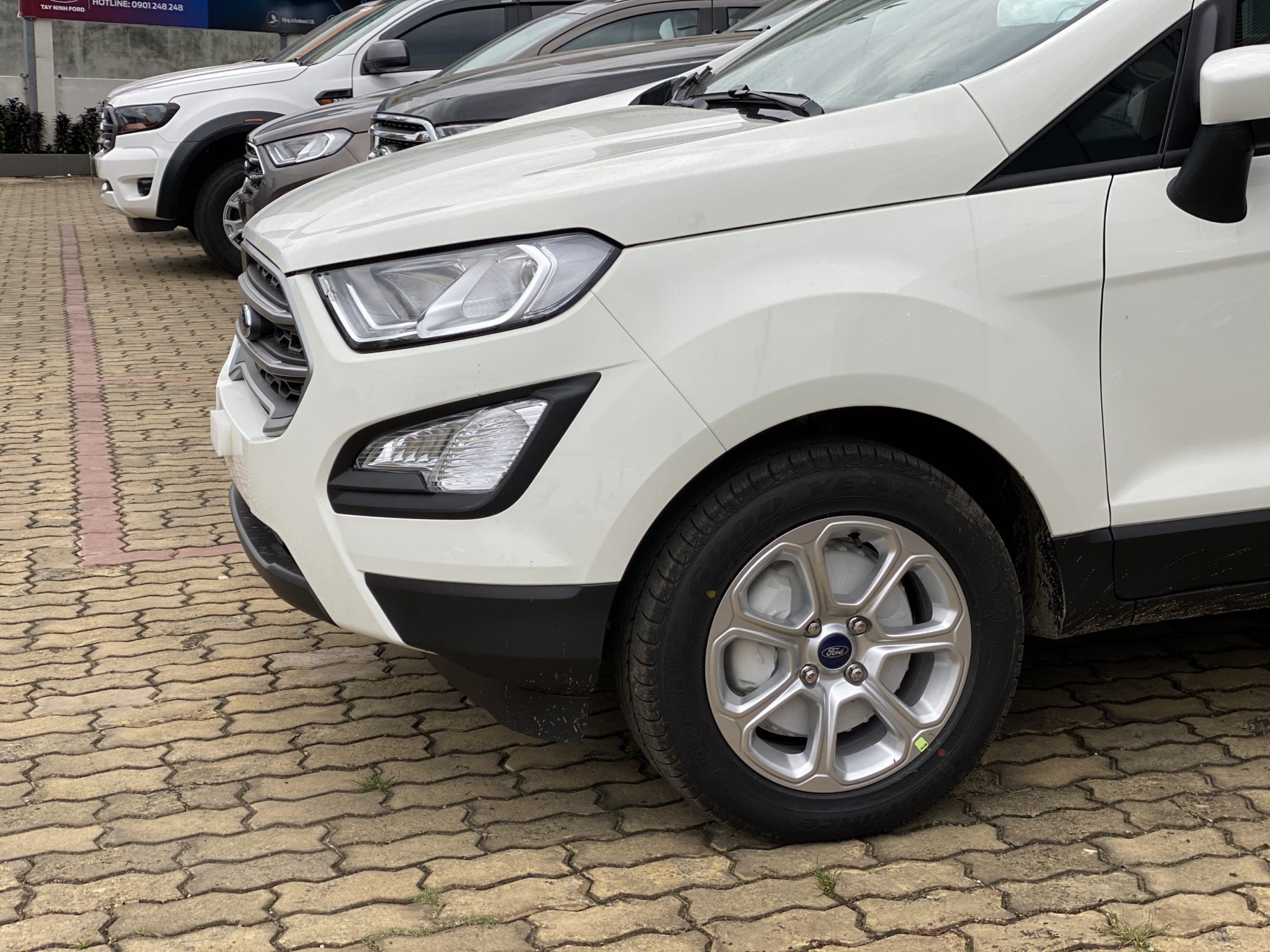 Ford ecosport tai long an ford